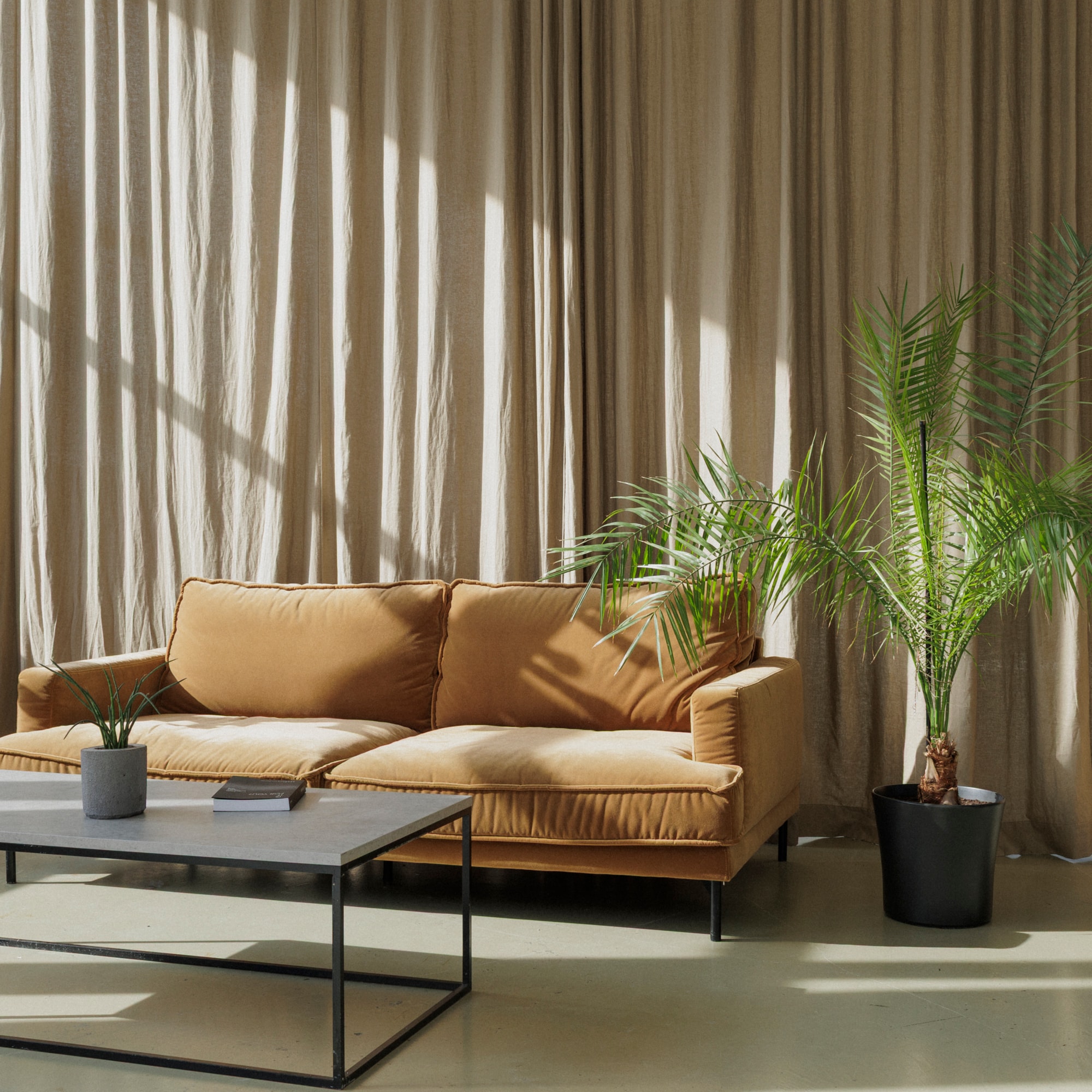 Sofa, augalai ir užuolaidos poilsio zonoje prie D studijos