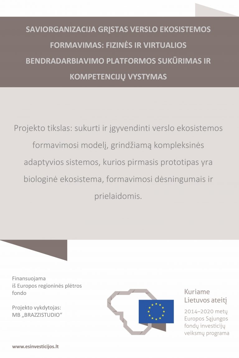 ES projekto viešinimo plakatas